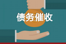 乌海为什么选择专业追讨公司来处理您的债务纠纷？